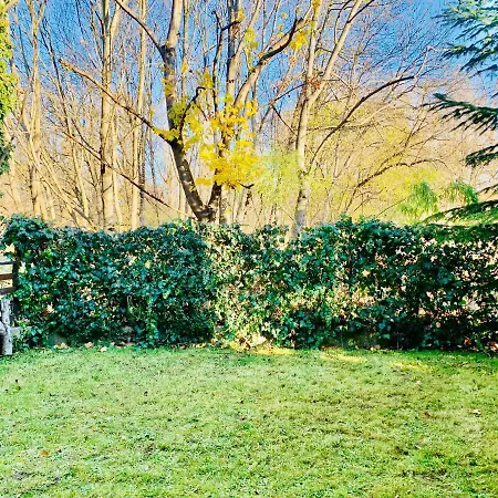 Sunny Gold Garden * Szentendre