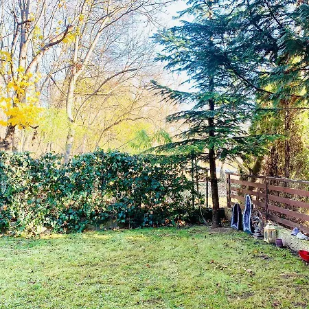 Sunny Gold Garden *